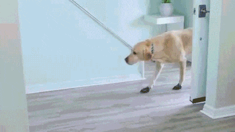 CleanPaw™ Easy Paw Cleaner - SuperSmartProducts